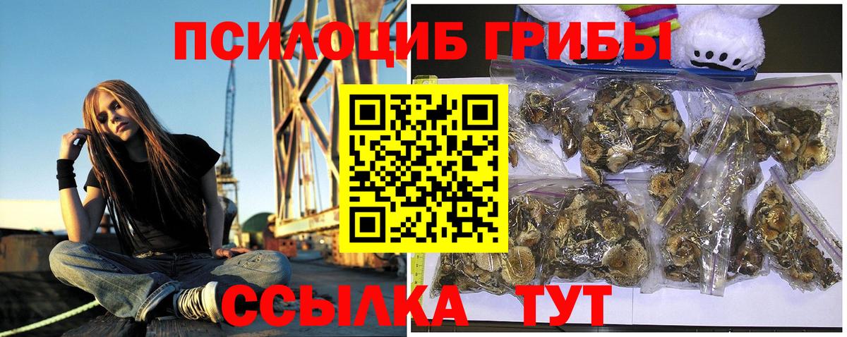 Псилоцибиновые грибы MAGIC MUSHROOMS Сосновый Бор