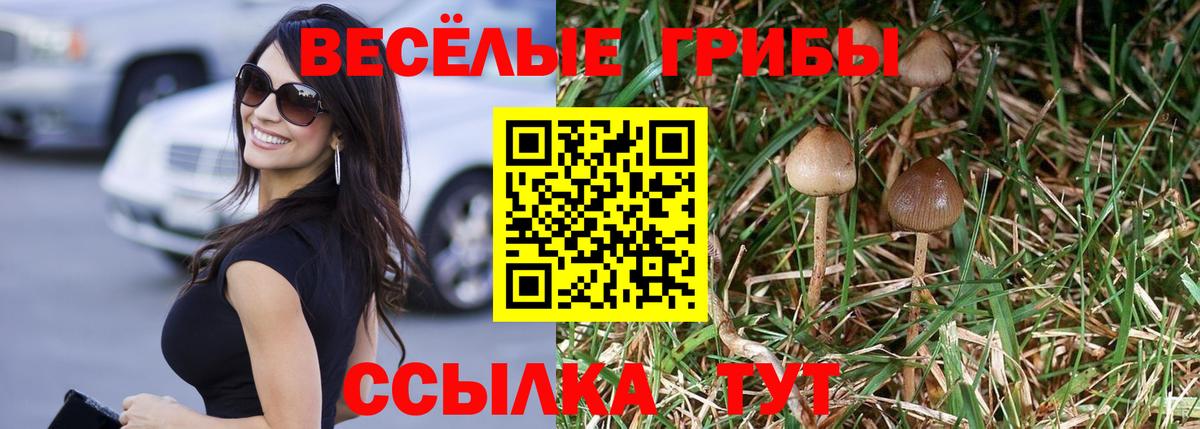 Сосновый Бор  наркошоп  Вход с VPN  Галлюциногенные грибы Cubensis 